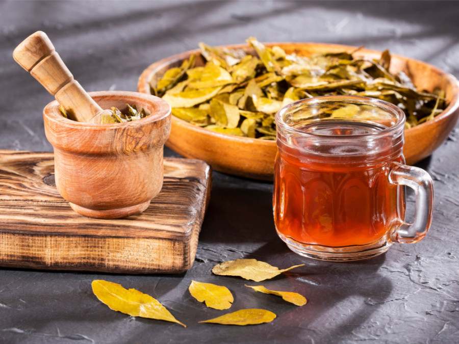 Mate de coca