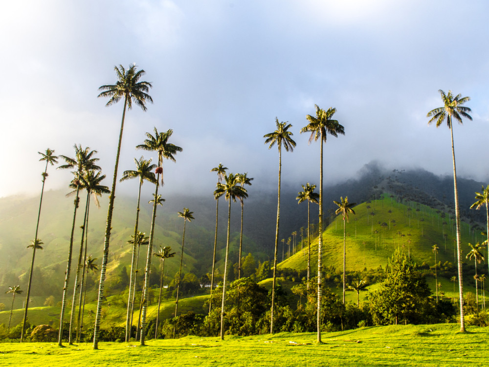 Voyage nature en Colombie