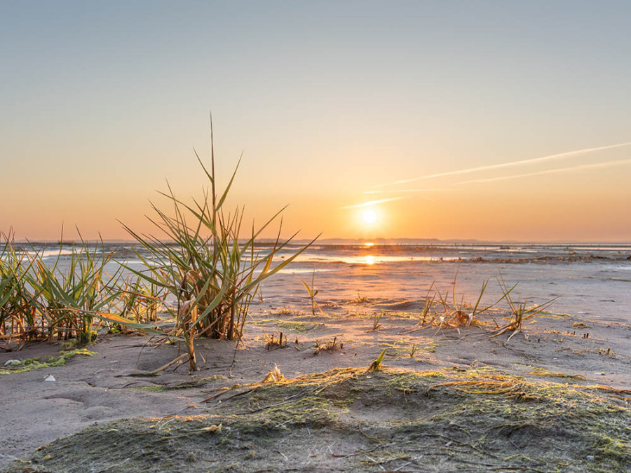 L'île de Borkum, dans la mer des Wadden