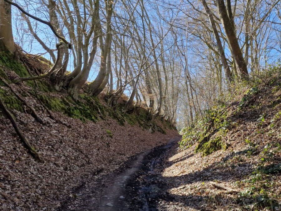 Sentier de randonnée Sentier de randonnée