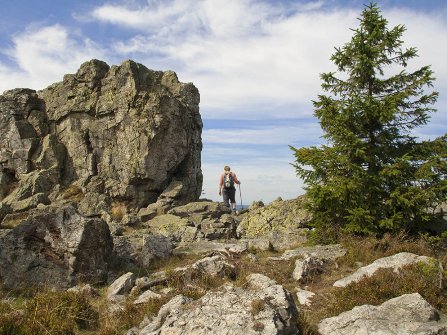 Le Harz