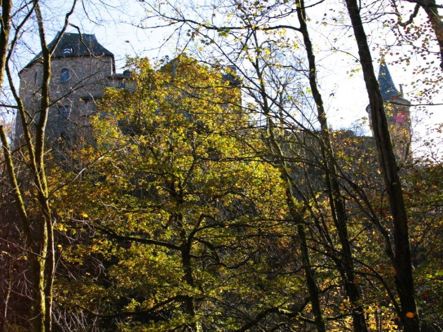 Château fort de Reinhardstein