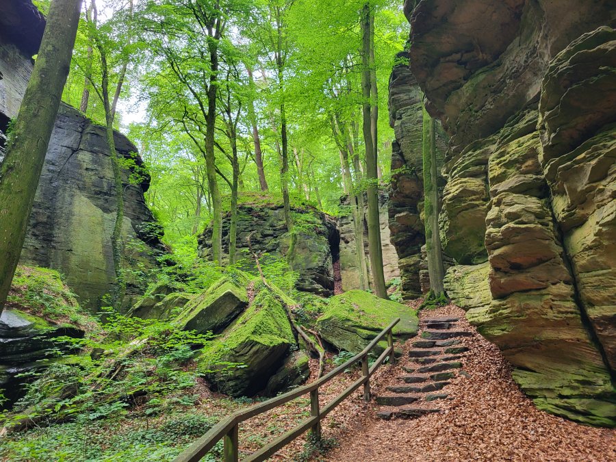 Sentiers Mullerthal Trail