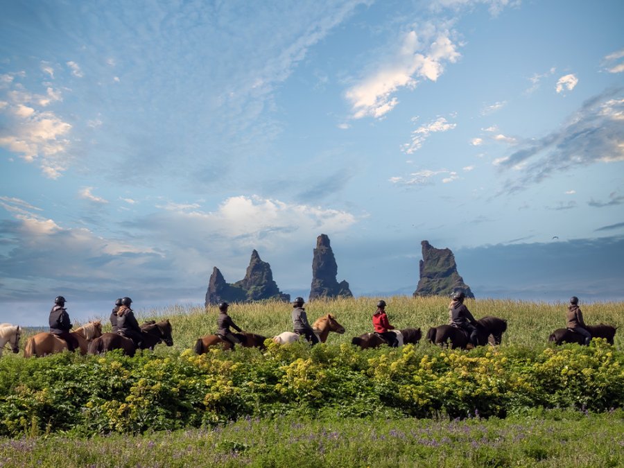 Equitation en Islande Equitation en Islande