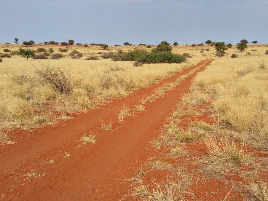 Circuit dans le Kalahari