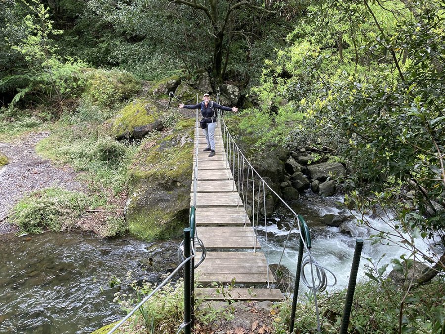 Levada do Castelejo