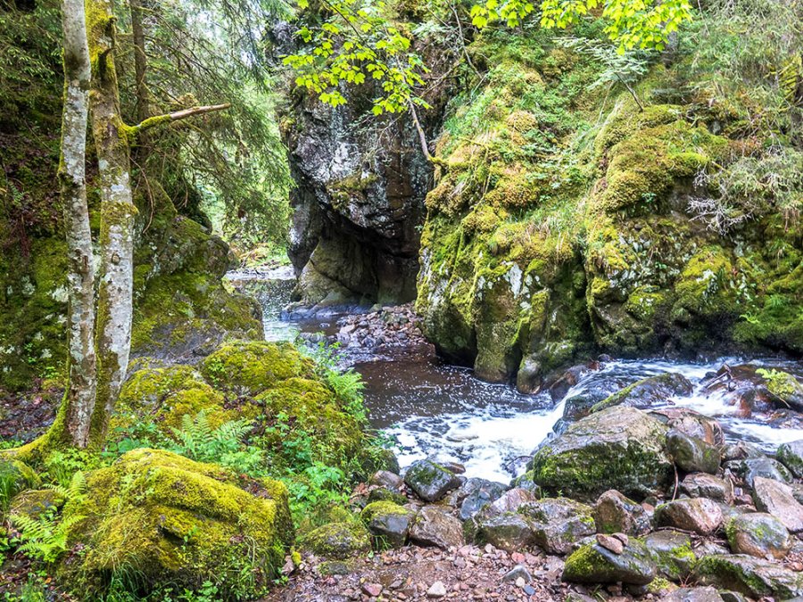 Gorges