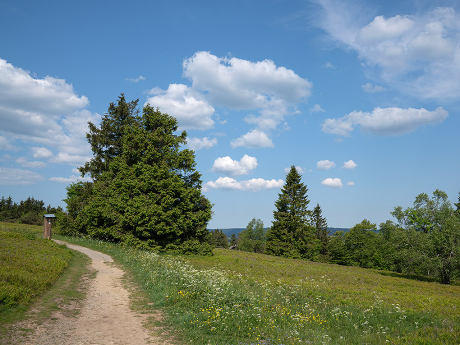 Kahler Asten en été Kahler Asten en été