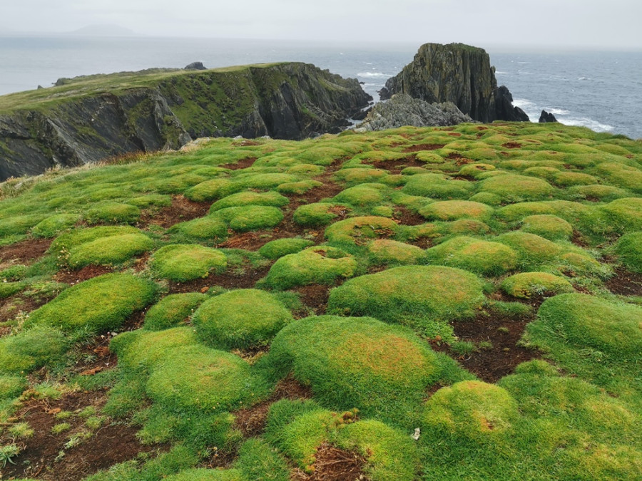 Le point le plus au nord de l'Irlande Le point le plus au nord de l'Irlande