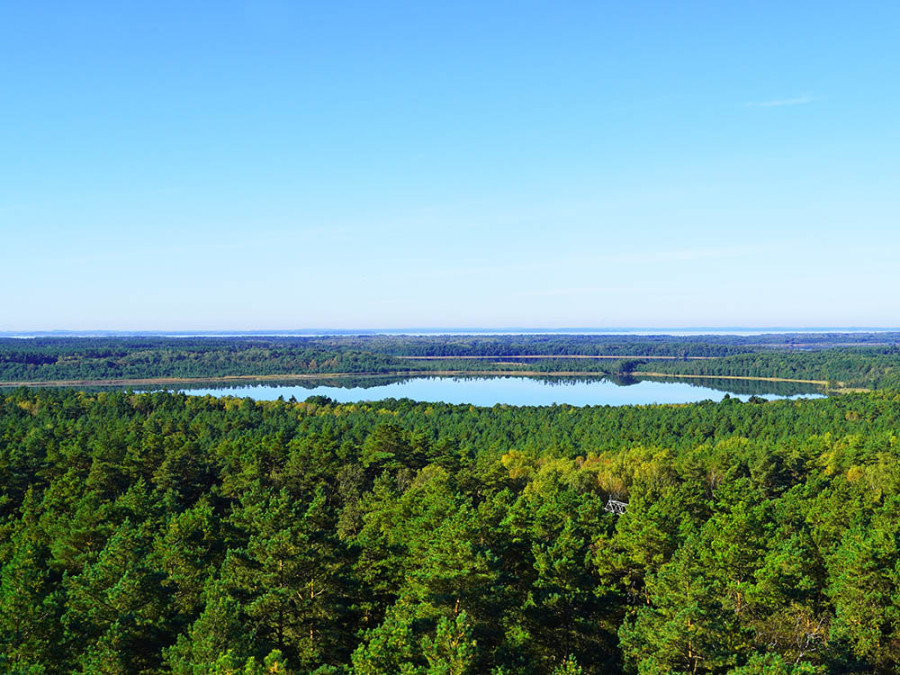 Müritz