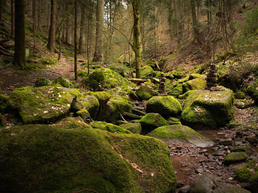 Wolfsschlucht Bad Liebenzell Wolfsschlucht Bad Liebenzell