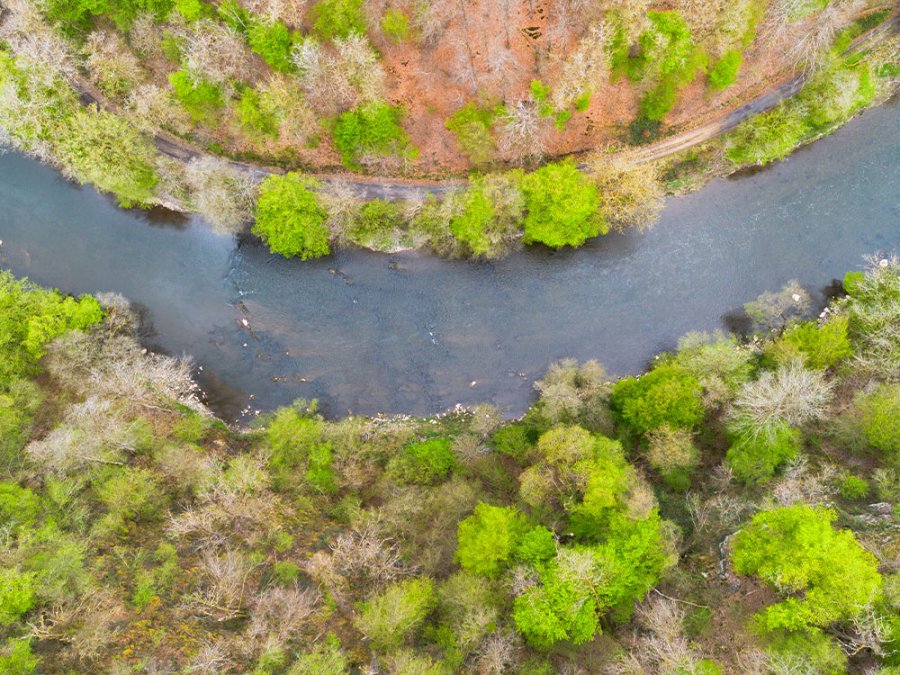 Rivière en Wallonie
