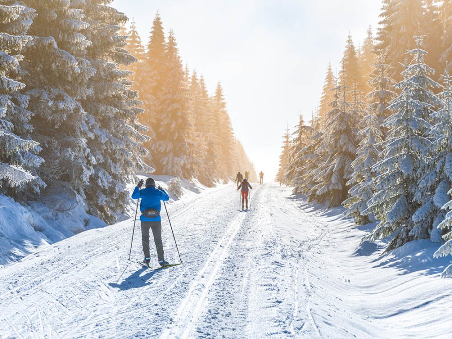 Promenade en ski de fond Promenade en ski de fond