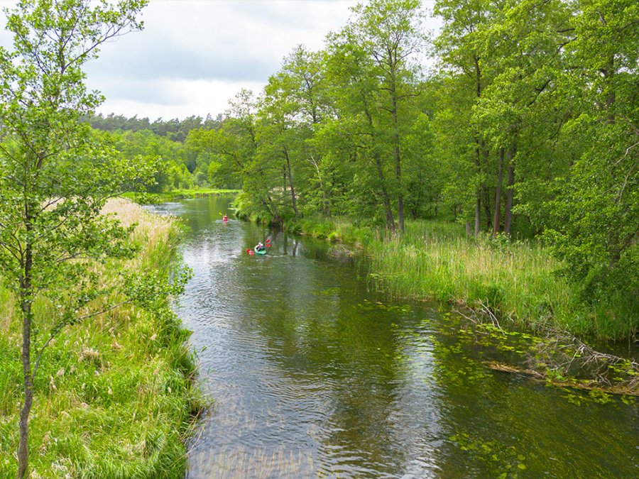 Le kayak en Pologne Le kayak en Pologne