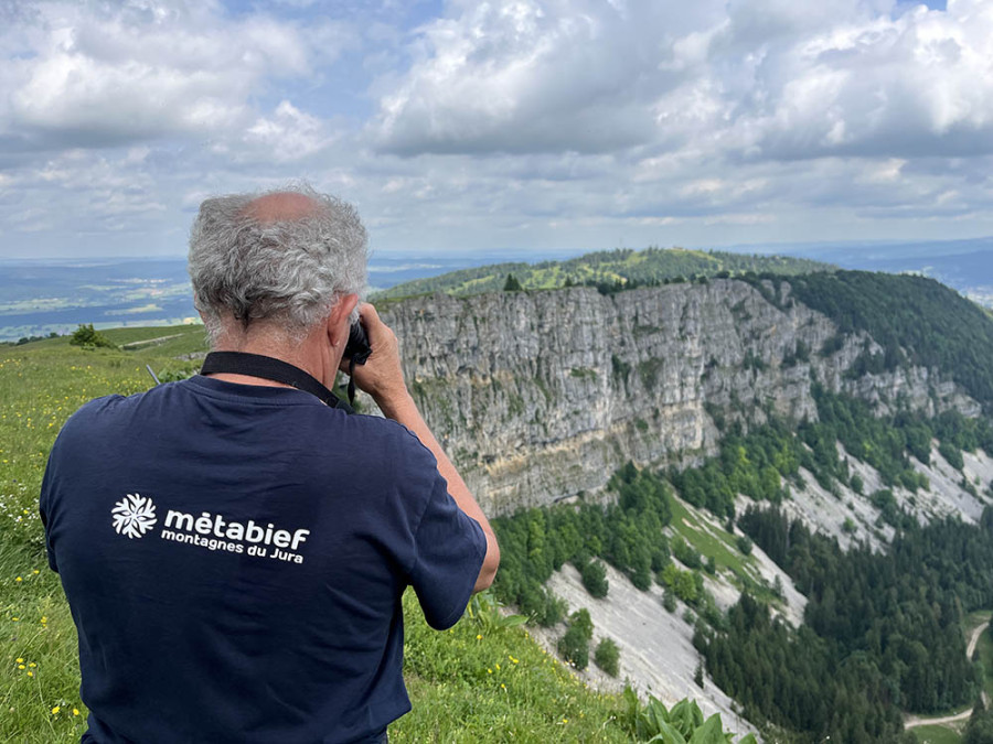 Observer les chamois