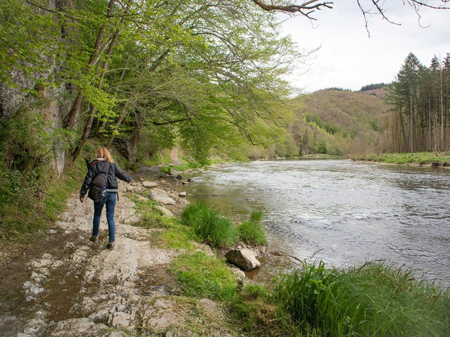 Randonnée dans la vallée de la Semois
