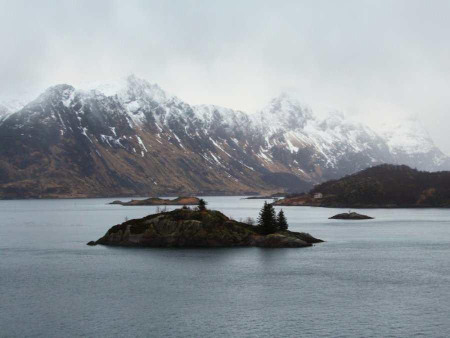 Une nature magnifique Une nature magnifique