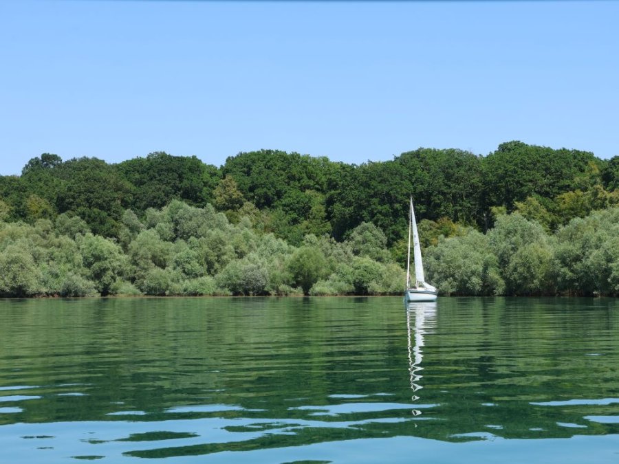 Barque sur le Lac du Der