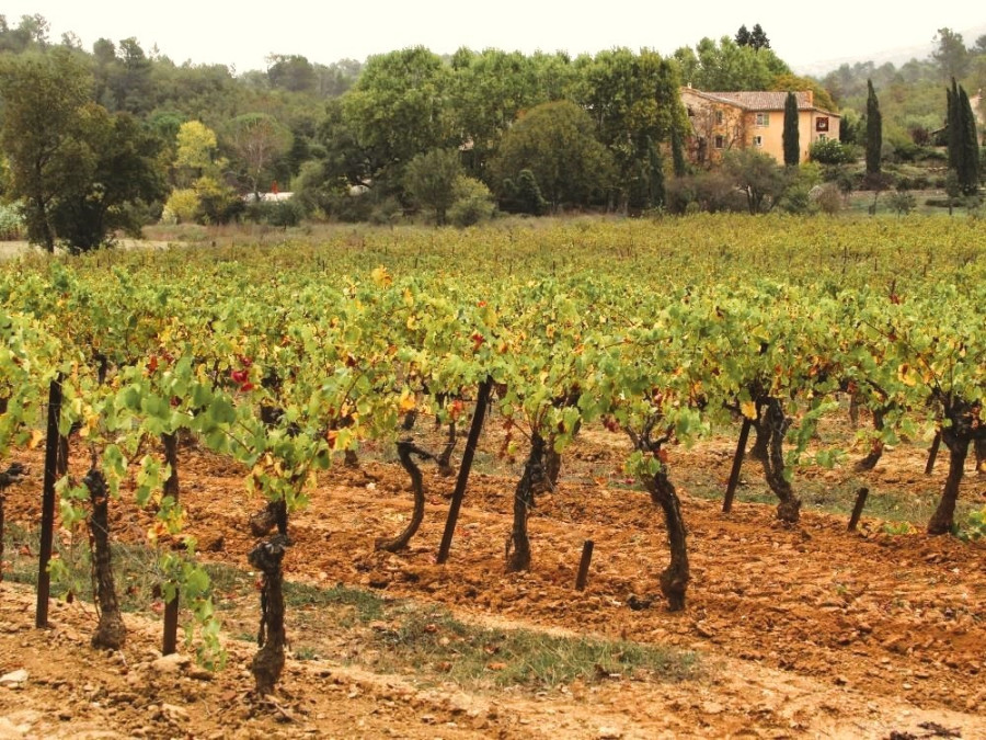 Vignobles