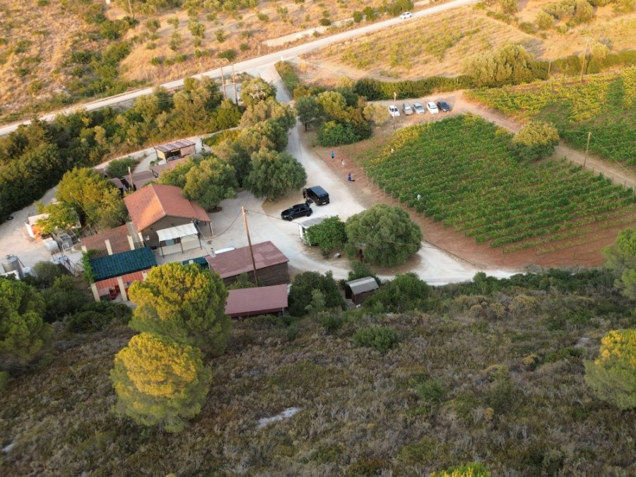 Domaine viticole Gentilini, Céphalonie Domaine viticole Gentilini, Céphalonie