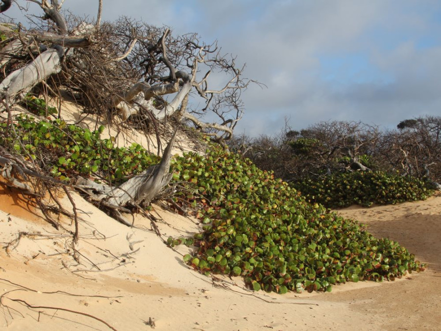 Bel endroit à Aruba Bel endroit à Aruba