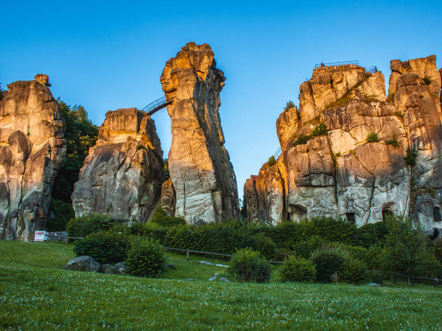 Activité en forêt de Teutberg Activité en forêt de Teutberg