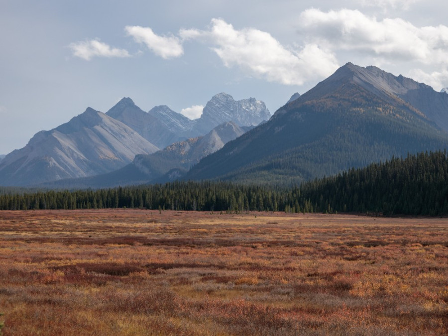 Parc provincial Peter Lougheed Parc provincial Peter Lougheed