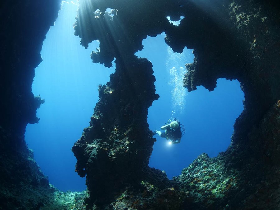 Plongée aux Visayas Plongée aux Visayas