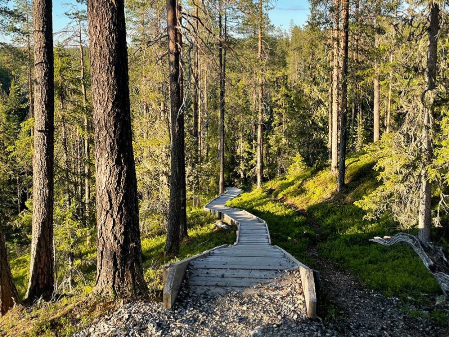 Randonnée à Suomussalmi