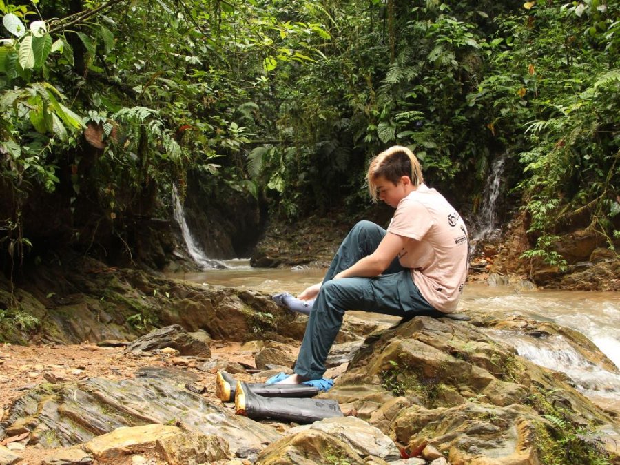 Trekking dans la jungle Trekking dans la jungle