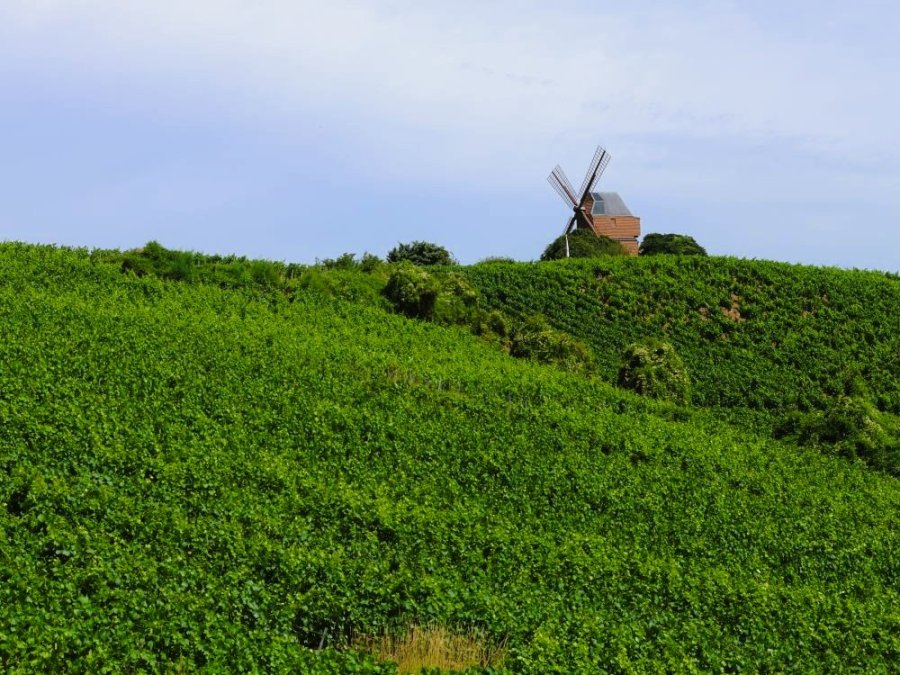 Moulin en Champagne