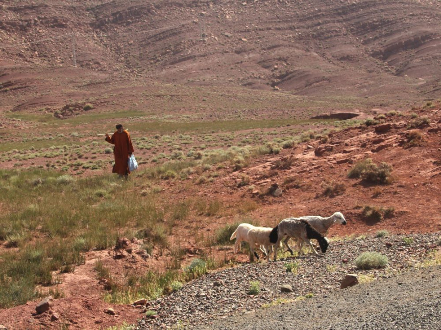 Montagnes de l'Atlas, Maroc Montagnes de l'Atlas, Maroc