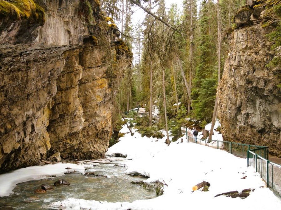 Sentier dans le canyon Johnston Sentier dans le canyon Johnston