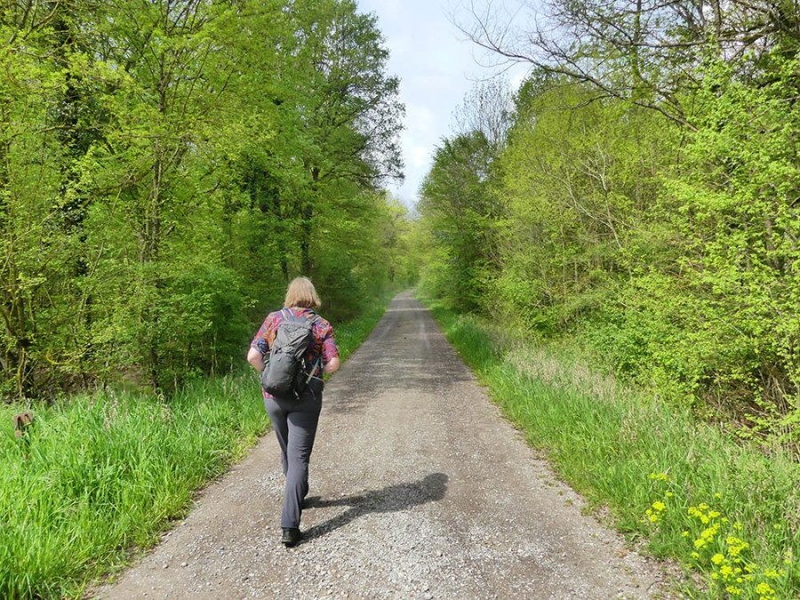 Randonnée dans le Steigerwald