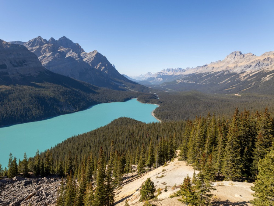 Lac Peyto au Canada