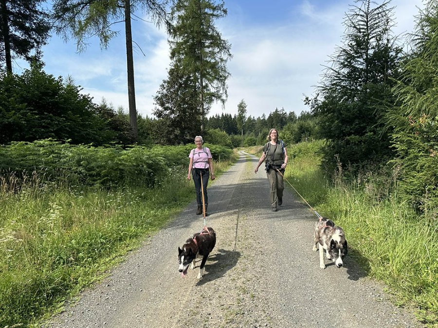 Promenade dans le Weserbergland
