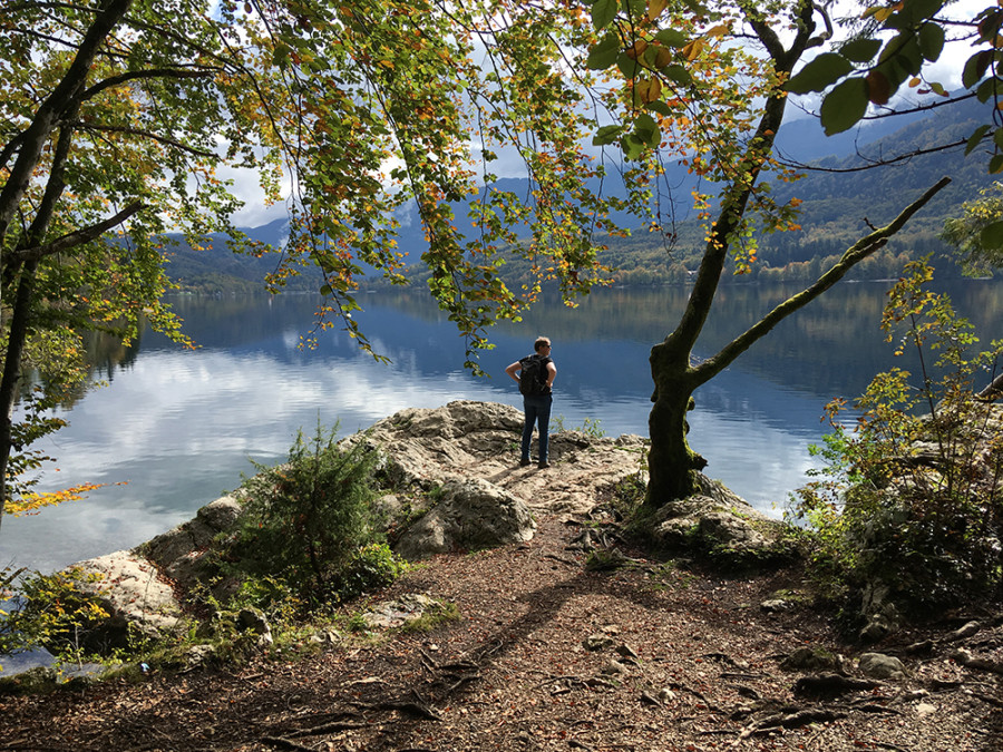 Nature à Bohinj Nature à Bohinj