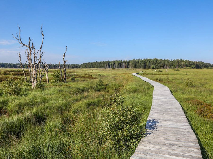 Promenades