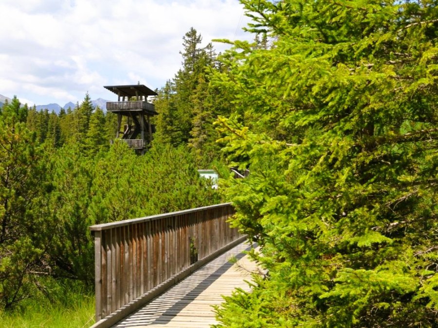 Parc naturel Kaunergrat