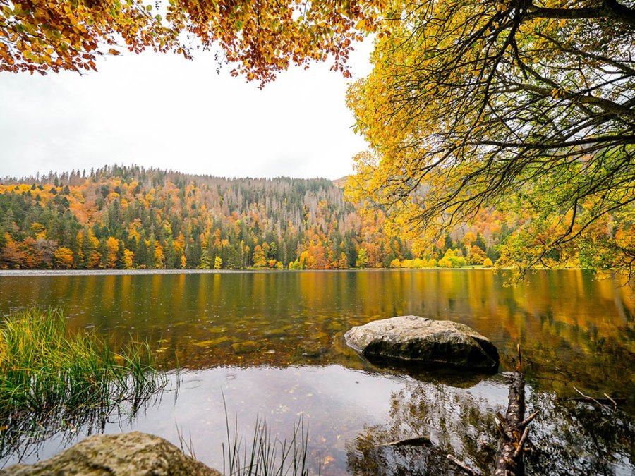 Feldsee près de Feldberg