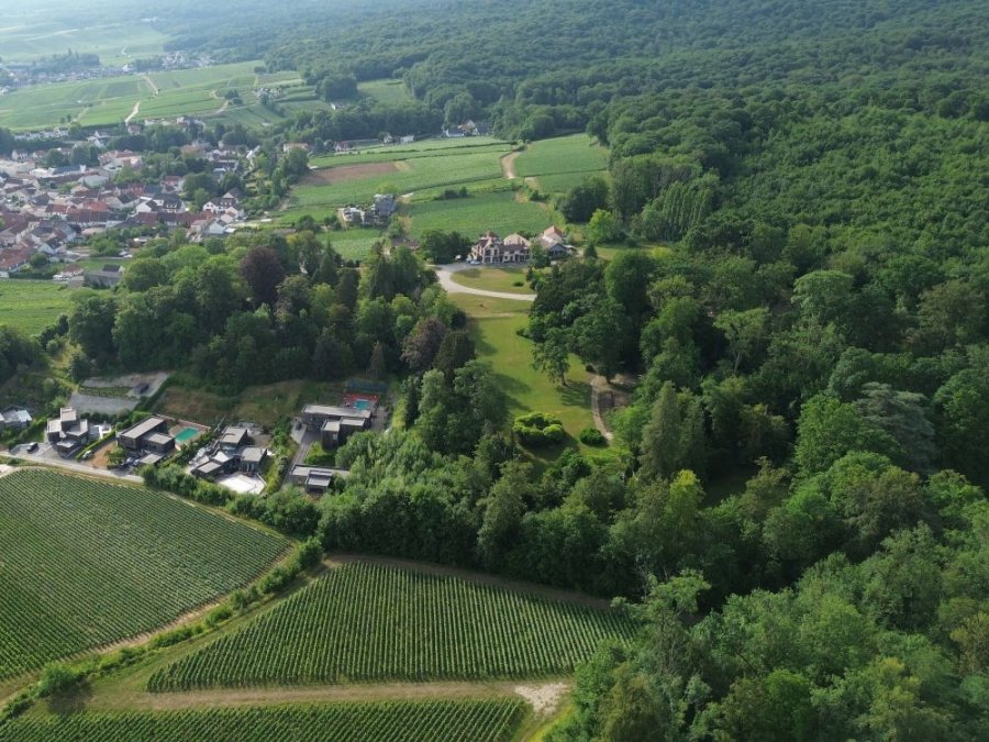 Nature de la Montagne de Reims