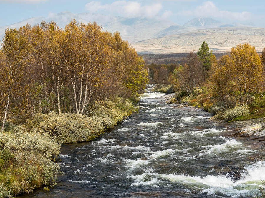 Rondane Rondane