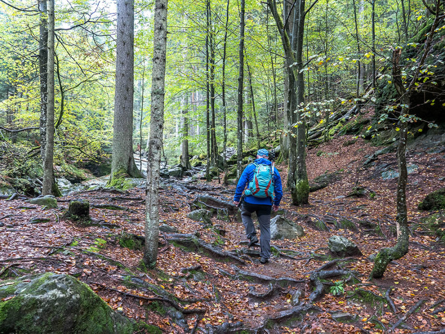 Sentier de randonnée