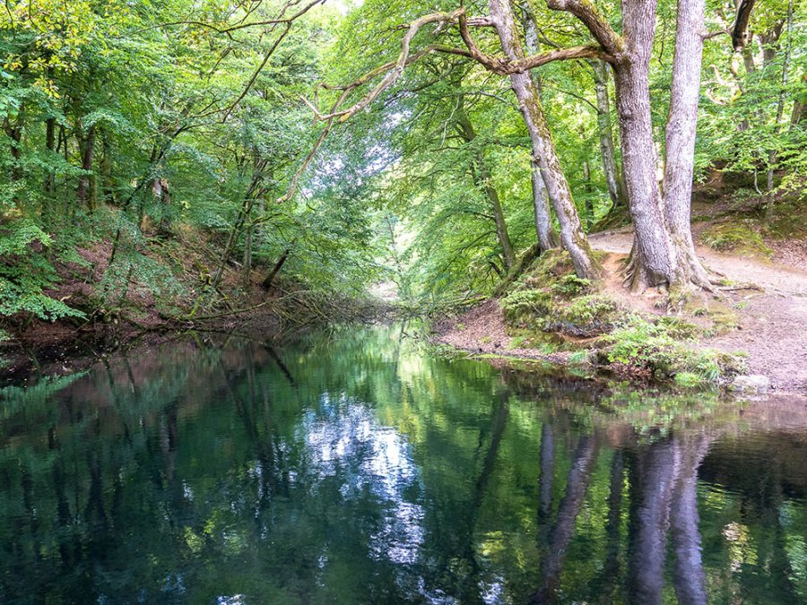 Réserve naturelle au Danemark