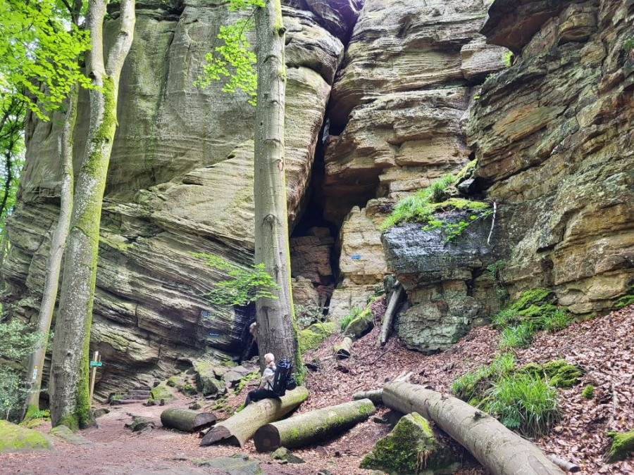 Environnement du Mullerthal
