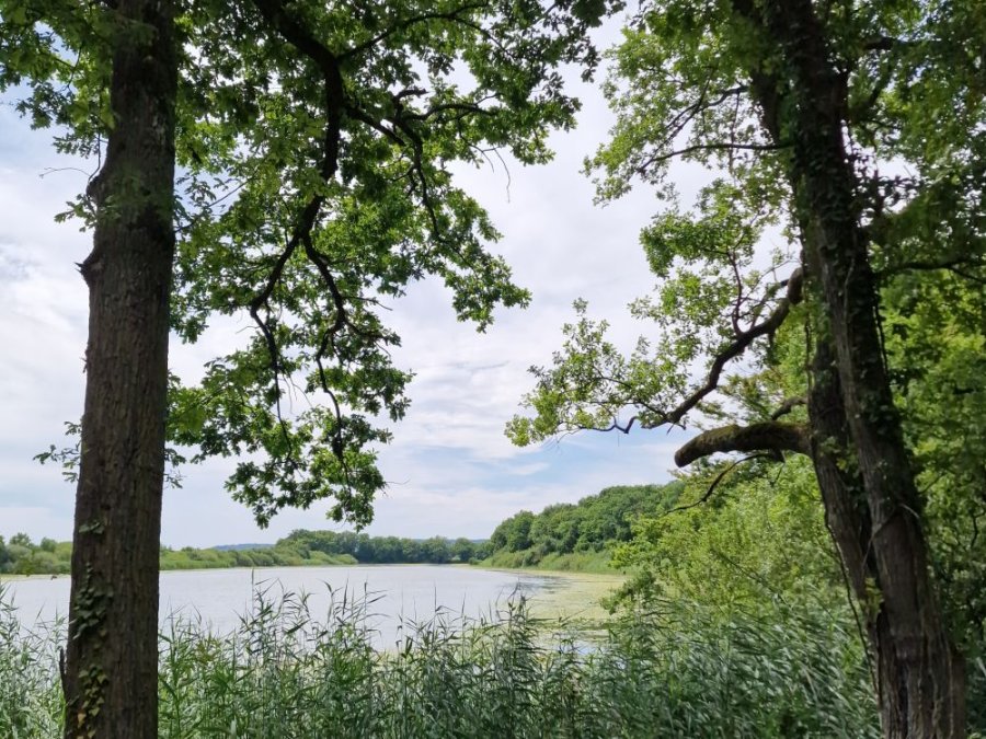 Parc naturel régional de Lorraine