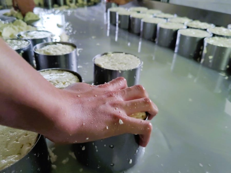Fromages Fromages