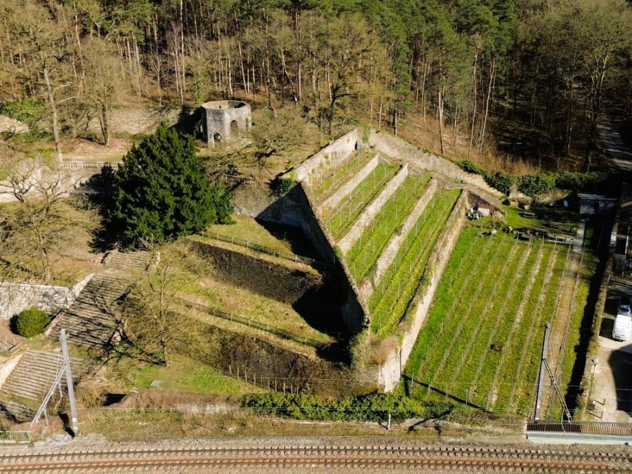 Vignobles de Wallonie