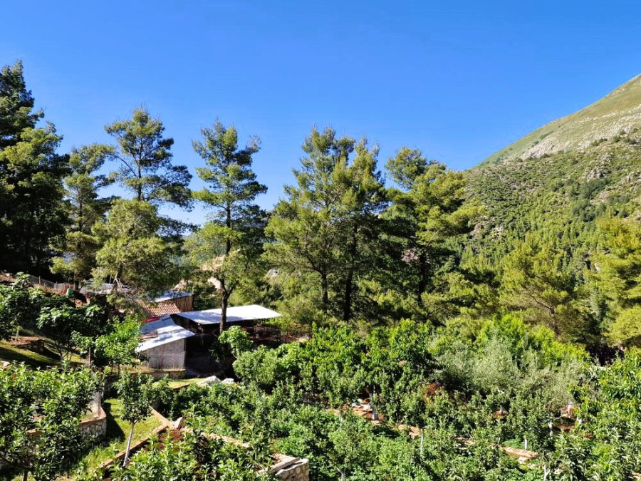 Paysage albanais Paysage albanais