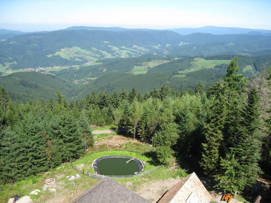 Vue du Brandenkopf